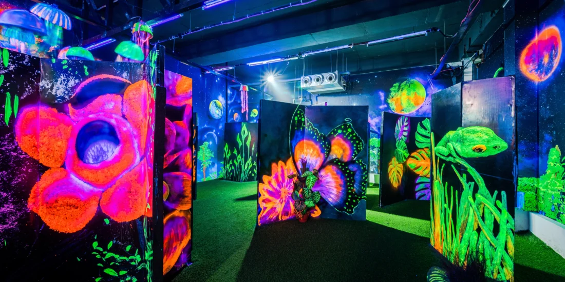 A vibrant room illuminated by neon lights, featuring various lush green plants throughout the space